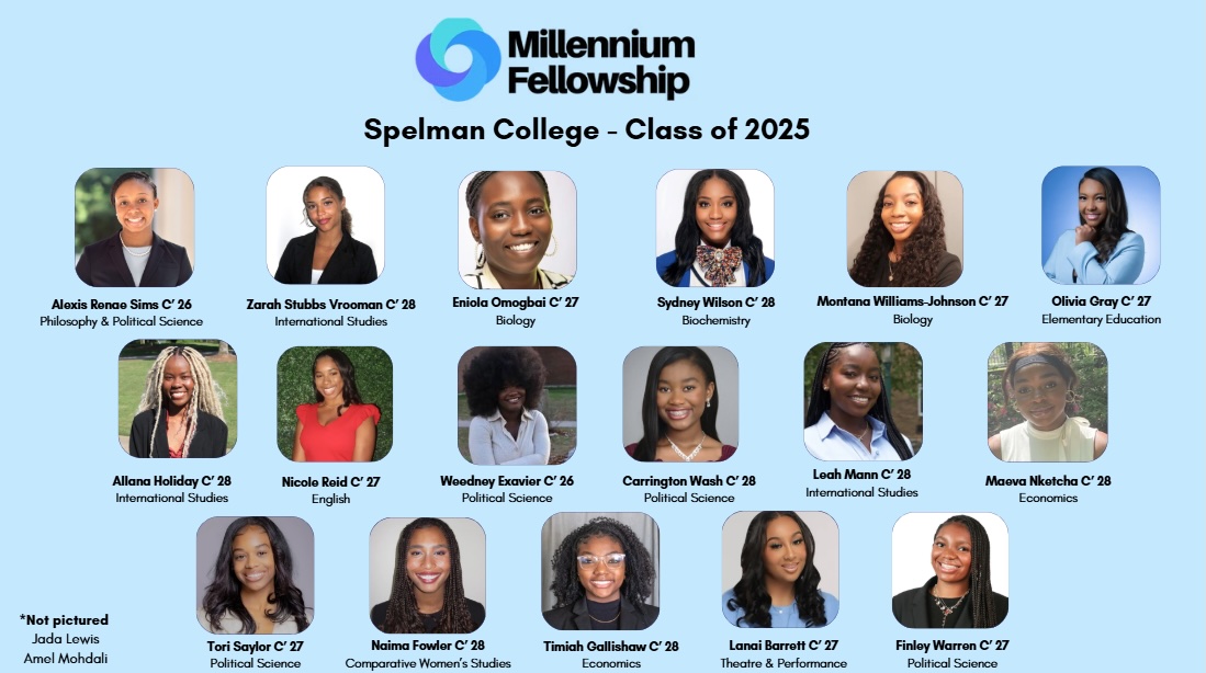 Millennium Fellows Infographic